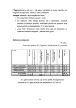 Biznesa plāns 'SIA "Copy Paste"', 23.