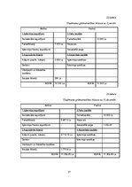 Biznesa plāns 'SIA "Copy Paste"', 27.