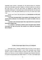 Referāts 'Komercaģenta darbības tiesiskais regulējums normatīvajos aktos', 23.