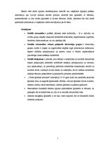 Referāts 'Sociālās atstumtības riska grupas Latvijā: abu vecāku ģimenes ar diviem bērniem', 5.