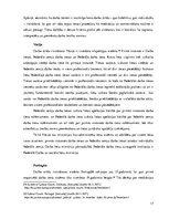 Referāts 'Darba tiesību salīdzinājums pasaules tiesību sistēmās', 17.