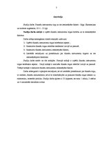 Referāts 'Finanšu instrumentu tirgus', 2.