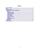 Referāts 'Intervijas tehnika', 2.