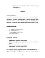 Referāts 'Intervijas tehnika', 4.