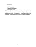 Referāts 'Intervijas tehnika', 9.