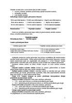 Referāts 'Grāmatvedības teorija', 5.