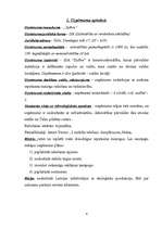 Biznesa plāns 'SIA "ZaRee"', 4.