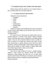 Diplomdarbs 'SIA "Olympic Casino Latvia" darbības un konkurētspējas izpēte', 10.