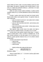 Diplomdarbs 'SIA "Olympic Casino Latvia" darbības un konkurētspējas izpēte', 41.