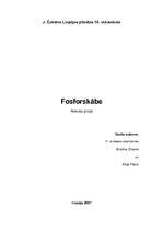 Referāts 'Fosforskābe', 1.