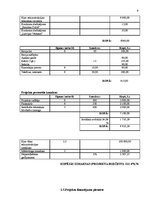 Referāts 'Izklaides vietu pilnveidošana Bauskas iedzīvotājiem 2011.gadā', 9.