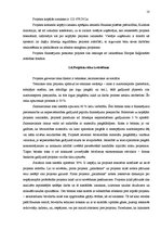 Referāts 'Izklaides vietu pilnveidošana Bauskas iedzīvotājiem 2011.gadā', 10.