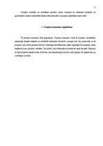 Referāts 'Izklaides vietu pilnveidošana Bauskas iedzīvotājiem 2011.gadā', 17.