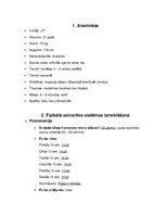 Konspekts 'Asinsrites sistēmas izmeklēšana', 3.