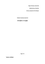 Konspekts 'Aerojoni', 1.