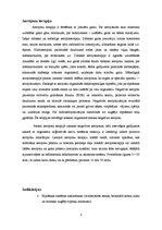 Konspekts 'Aerojoni', 3.