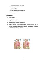 Konspekts 'Aerojoni', 4.