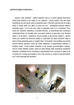 Konspekts 'Aerojoni', 7.