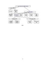 Referāts 'Administratīvā iesnieguma izskatīšana un pierādījumu vākšana lietas ierosināšana', 11.