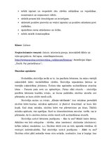 Referāts 'Starpkultūru izglītība', 6.