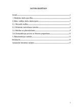 Referāts 'Prakse māsu darba vadīšanā', 2.