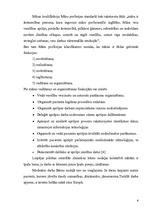 Referāts 'Prakse māsu darba vadīšanā', 6.