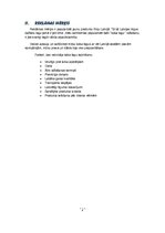 Referāts 'Reklāmas stratēģiskais plāns', 4.