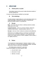 Referāts 'Reklāmas stratēģiskais plāns', 8.