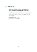 Referāts 'Reklāmas stratēģiskais plāns', 14.