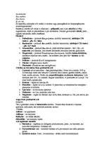 Konspekts 'Mikrobioloģija. Antibiotikas', 5.