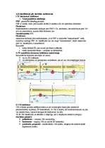 Konspekts 'Mikrobioloģija. Antibiotikas', 6.