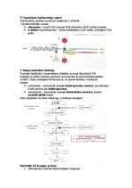 Konspekts 'Mikrobioloģija. Antibiotikas', 8.