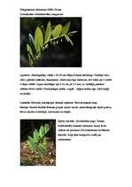 Konspekts 'Ārstniecības augi', 1.