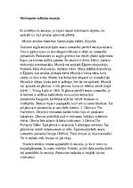 Eseja 'Metropoles mākslas muzejs', 1.