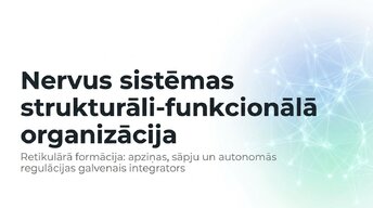 Prezentācija 'Nervu sistēmas strukturāli - funkcionālā organizācija', 1.