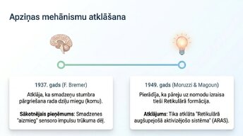 Prezentācija 'Nervu sistēmas strukturāli - funkcionālā organizācija', 4.