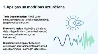 Prezentācija 'Nervu sistēmas strukturāli - funkcionālā organizācija', 8.