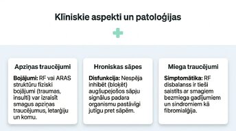 Prezentācija 'Nervu sistēmas strukturāli - funkcionālā organizācija', 12.