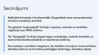 Prezentācija 'Nervu sistēmas strukturāli - funkcionālā organizācija', 14.