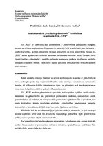 Referāts 'Amata apraksta "vecākais grāmatvedis" izveidošana un analīze', 1.