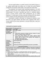 Referāts 'Amata apraksta "vecākais grāmatvedis" izveidošana un analīze', 2.