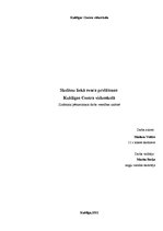 Referāts 'Liekā svara problēmas Kuldīgas Centra vidusskolā', 1.