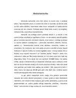 Eseja 'Mežsaimniecība', 1.