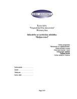 Biznesa plāns 'Sabiedrība ar ierobežotu atbildību "Kaljan-town"', 1.