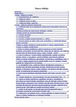 Biznesa plāns 'Sabiedrība ar ierobežotu atbildību "Kaljan-town"', 4.