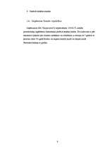 Biznesa plāns 'Sabiedrība ar ierobežotu atbildību "Kaljan-town"', 9.