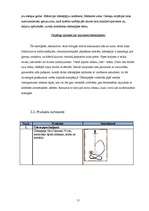 Biznesa plāns 'Sabiedrība ar ierobežotu atbildību "Kaljan-town"', 11.