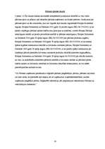 Biznesa plāns 'Sabiedrība ar ierobežotu atbildību "Kaljan-town"', 19.