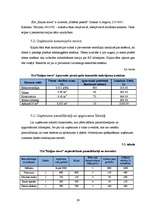 Biznesa plāns 'Sabiedrība ar ierobežotu atbildību "Kaljan-town"', 29.