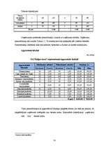 Biznesa plāns 'Sabiedrība ar ierobežotu atbildību "Kaljan-town"', 30.